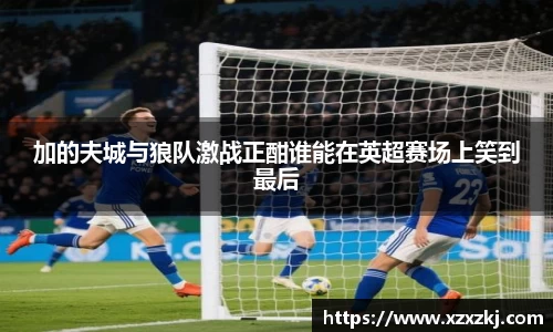 加的夫城与狼队激战正酣谁能在英超赛场上笑到最后